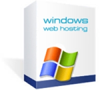 Windows Hosting Plan W25100
